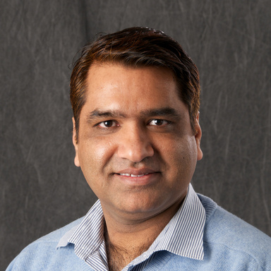 Anil Chauhan, PhD, UI professor of internal medicine