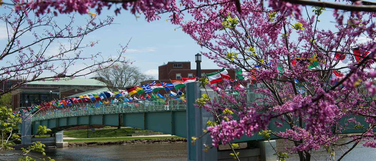 Flags on bridge