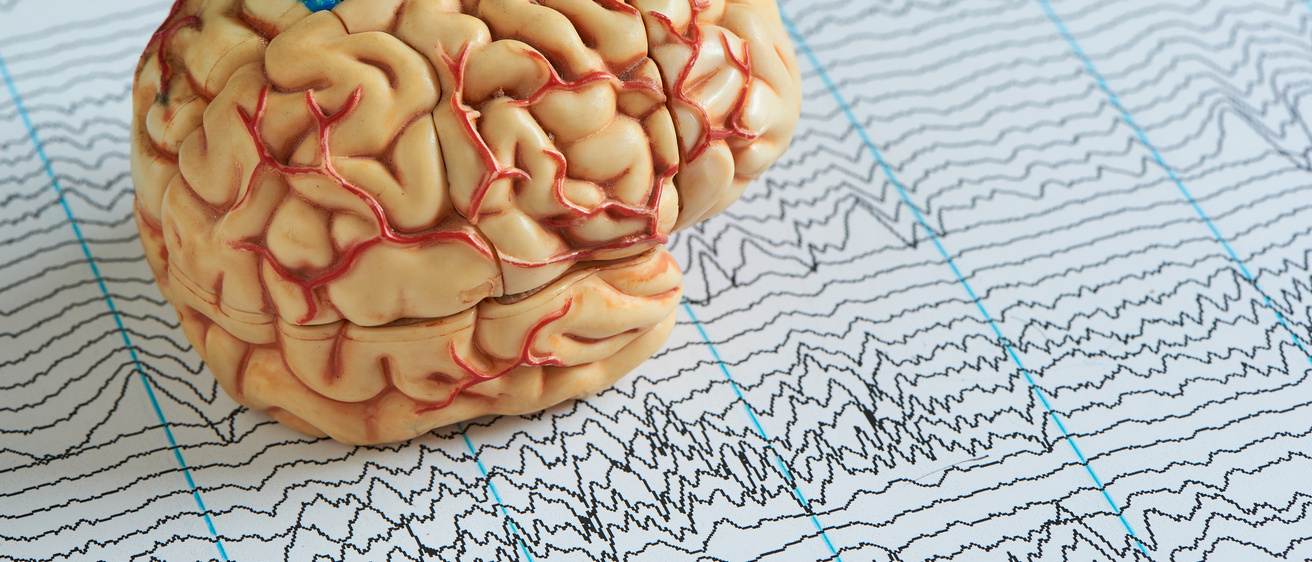 Brain model on EEG waves paper