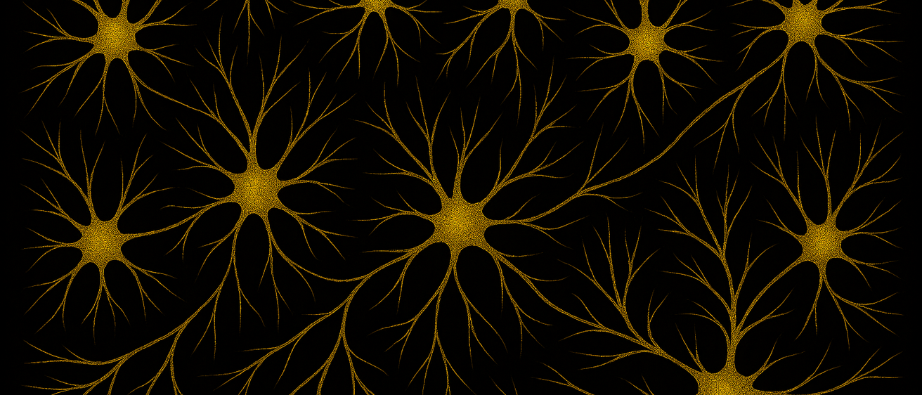 neurons